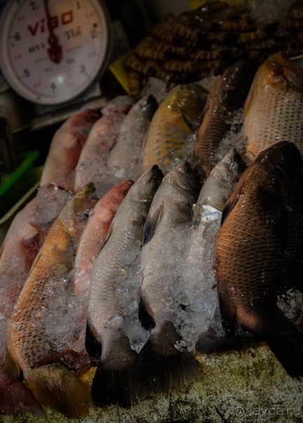 ЛОДКИ И МОРЕ. РЫБНЫЙ РЫНОК НА ПХУКЕТЕ