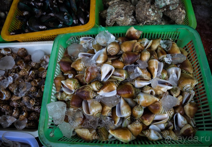 ЛОДКИ И МОРЕ. РЫБНЫЙ РЫНОК НА ПХУКЕТЕ