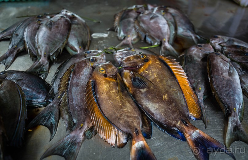 ЛОДКИ И МОРЕ. РЫБНЫЙ РЫНОК НА ПХУКЕТЕ