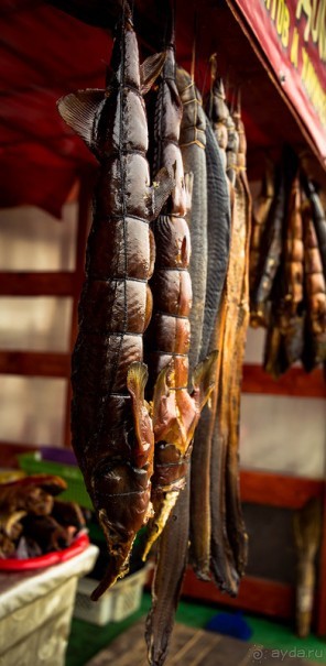 ИСТРА И НОВЫЙ ИЕРУСАЛИМ В КОНЦЕ ОКТЯБРЯ