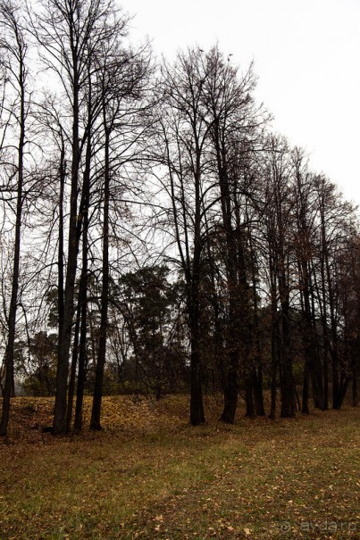 ИСТРА И НОВЫЙ ИЕРУСАЛИМ В КОНЦЕ ОКТЯБРЯ