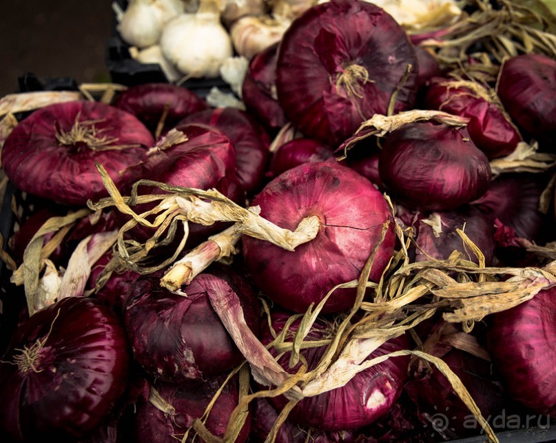 ИСТРА И НОВЫЙ ИЕРУСАЛИМ В КОНЦЕ ОКТЯБРЯ