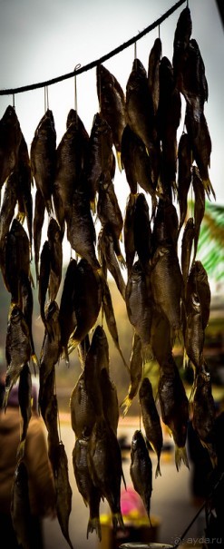 ИСТРА И НОВЫЙ ИЕРУСАЛИМ В КОНЦЕ ОКТЯБРЯ