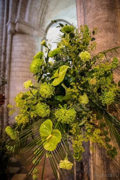 СОБОР В ИЛИ - ФЕСТИВАЛЬ ЦВЕТОВ - ИЮНЬ 2018 2