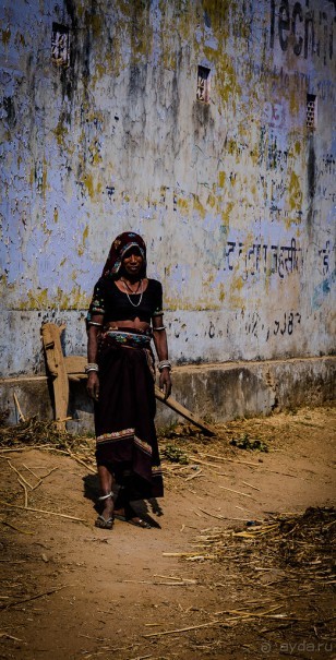 ПО ДОРОГЕ ИЗ ДЖАЙПУРА В РАНТАМБОР