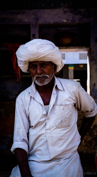 ПО ДОРОГЕ ИЗ ДЖАЙПУРА В РАНТАМБОР