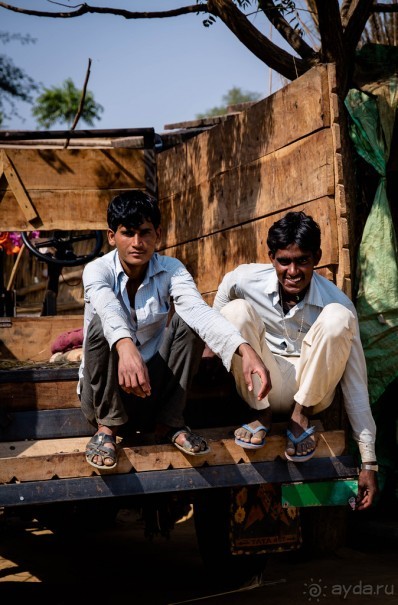 ПО ДОРОГЕ ИЗ ДЖАЙПУРА В РАНТАМБОР