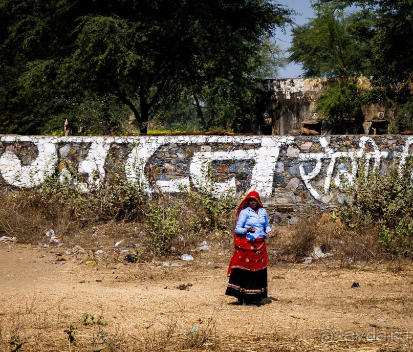 ПО ДОРОГЕ ИЗ ДЖАЙПУРА В РАНТАМБОР