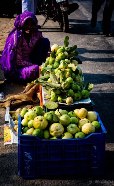 ПО ДОРОГЕ ИЗ ДЖАЙПУРА В РАНТАМБОР