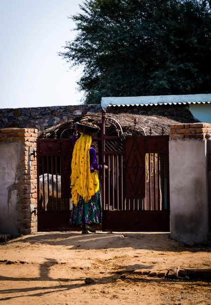 ПО ДОРОГЕ ИЗ ДЖАЙПУРА В РАНТАМБОР