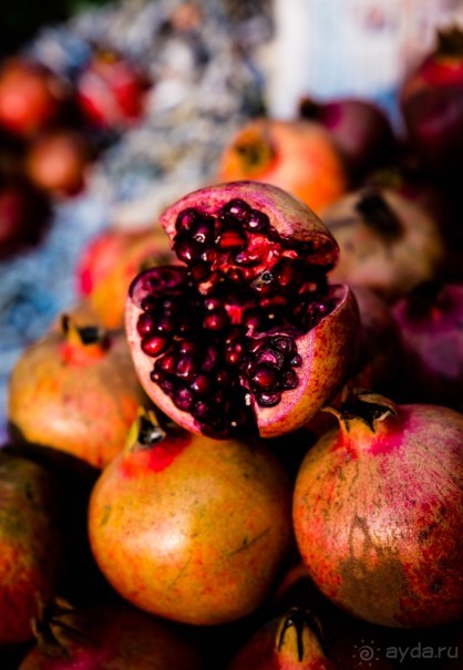 ПО ДОРОГЕ ИЗ ДЖАЙПУРА В РАНТАМБОР