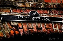 НА КАНАЛЕ И ОКОЛО В НАЧАЛЕ АВГУСТА