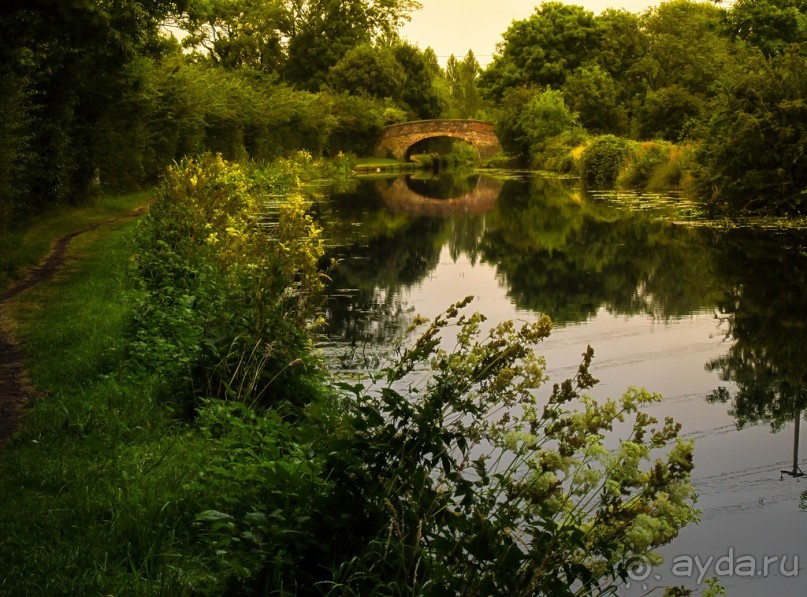НА КАНАЛЕ И ОКОЛО В НАЧАЛЕ АВГУСТА