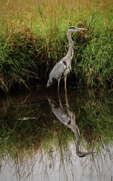 НА КАНАЛЕ И ОКОЛО В НАЧАЛЕ АВГУСТА