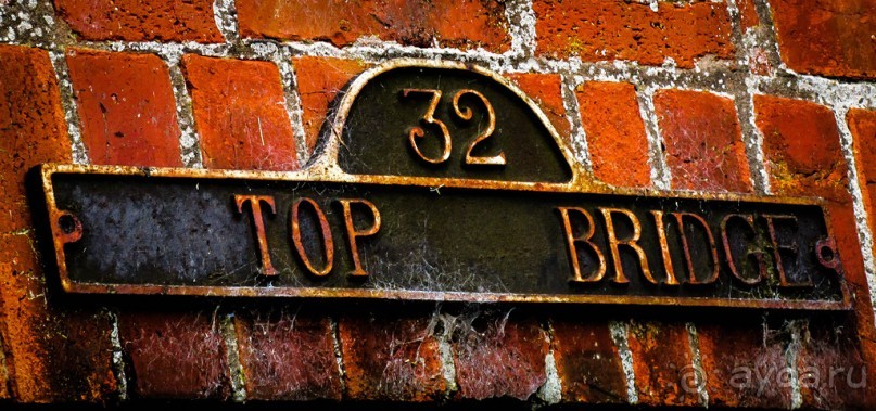 НА КАНАЛЕ И ОКОЛО В НАЧАЛЕ АВГУСТА