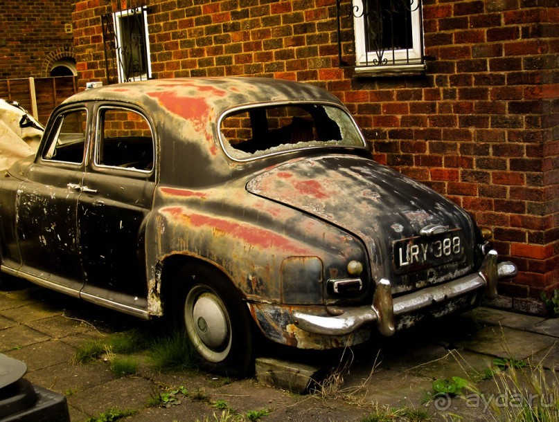 НА КАНАЛЕ И ОКОЛО В НАЧАЛЕ АВГУСТА