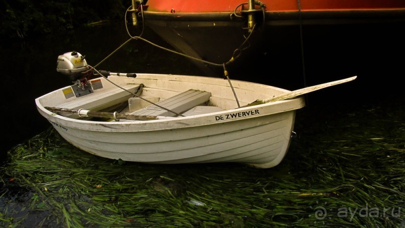 НА КАНАЛЕ И ОКОЛО В НАЧАЛЕ АВГУСТА