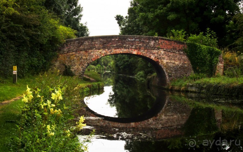 НА КАНАЛЕ И ОКОЛО В НАЧАЛЕ АВГУСТА
