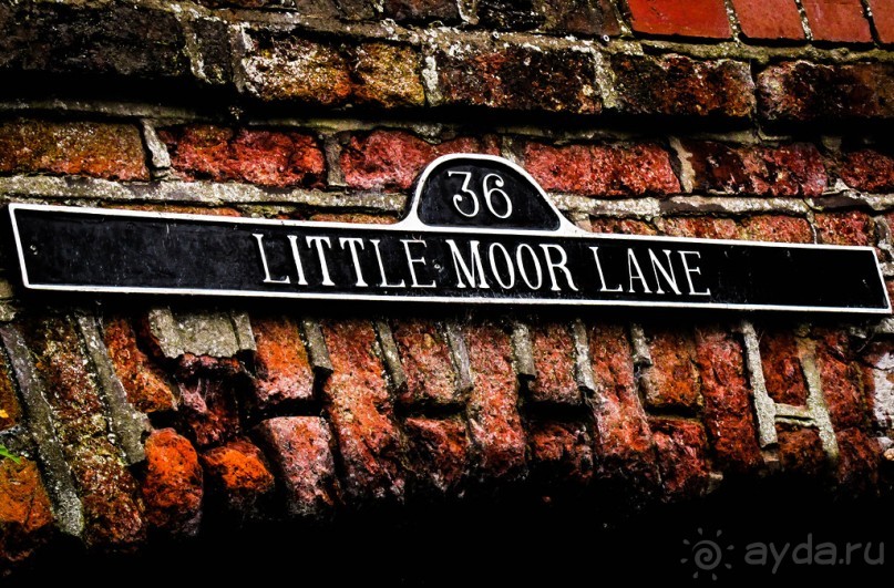 НА КАНАЛЕ И ОКОЛО В НАЧАЛЕ АВГУСТА