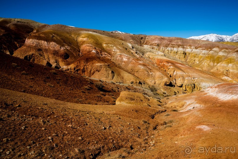 АЛТАЙ: КЫЗЫЛ ЧИН - ВСЕ ОТТЕНКИ КРАСНОГО И ЖЕЛТОГО, ОХРА, РЫЖИЙ, КИРПИЧНЫЙ, БОРДОВЫЙ...