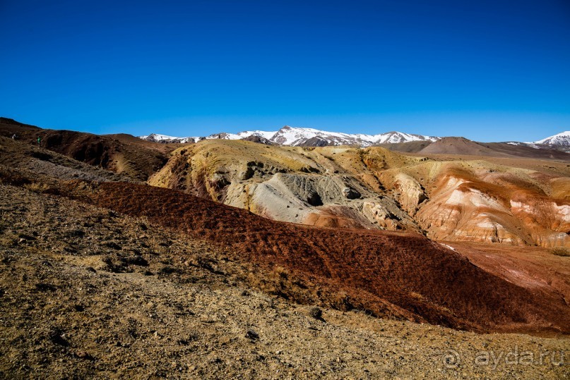 АЛТАЙ: КЫЗЫЛ ЧИН - ВСЕ ОТТЕНКИ КРАСНОГО И ЖЕЛТОГО, ОХРА, РЫЖИЙ, КИРПИЧНЫЙ, БОРДОВЫЙ...