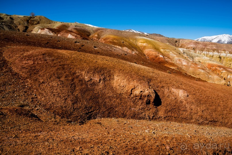 АЛТАЙ: КЫЗЫЛ ЧИН - ВСЕ ОТТЕНКИ КРАСНОГО И ЖЕЛТОГО, ОХРА, РЫЖИЙ, КИРПИЧНЫЙ, БОРДОВЫЙ...