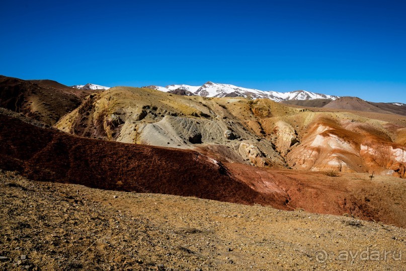 АЛТАЙ: КЫЗЫЛ ЧИН - ВСЕ ОТТЕНКИ КРАСНОГО И ЖЕЛТОГО, ОХРА, РЫЖИЙ, КИРПИЧНЫЙ, БОРДОВЫЙ...