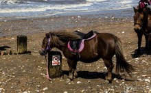 HUNSTANTON