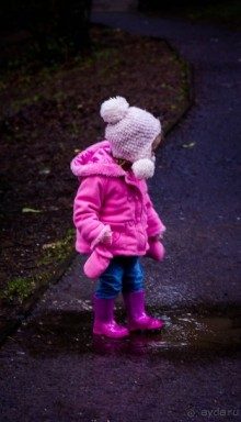 СЕВЕРНЫЙ УЭЛЬС В НАЧАЛЕ МАРТА