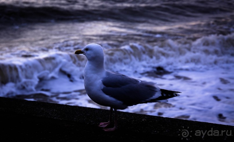 СЕВЕРНЫЙ УЭЛЬС В НАЧАЛЕ МАРТА