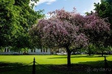 О ДУБЛИНЕ В МАЕ 2016