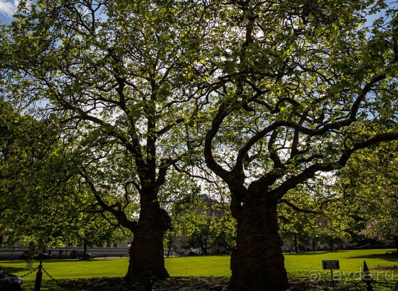 О ДУБЛИНЕ В МАЕ 2016