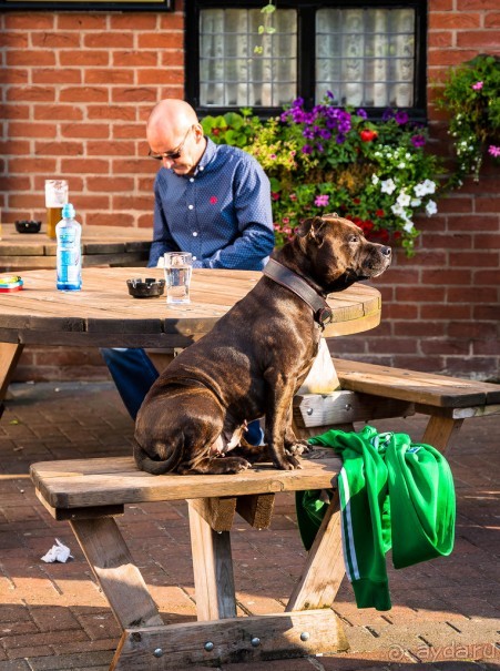 HULL В НАЧАЛЕ ИЮНЯ 2016