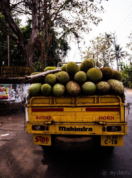 РЫНОК В ДЕРЕВНЕ НА ПЛЯЖЕ ЧЕРАЙ В КЕРАЛА