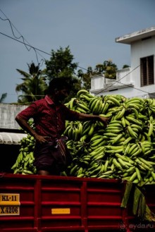 РЫНОК В ДЕРЕВНЕ НА ПЛЯЖЕ ЧЕРАЙ В КЕРАЛА