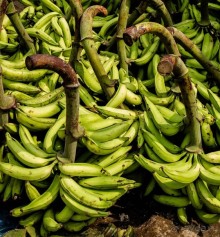 РЫНОК В ДЕРЕВНЕ НА ПЛЯЖЕ ЧЕРАЙ В КЕРАЛА