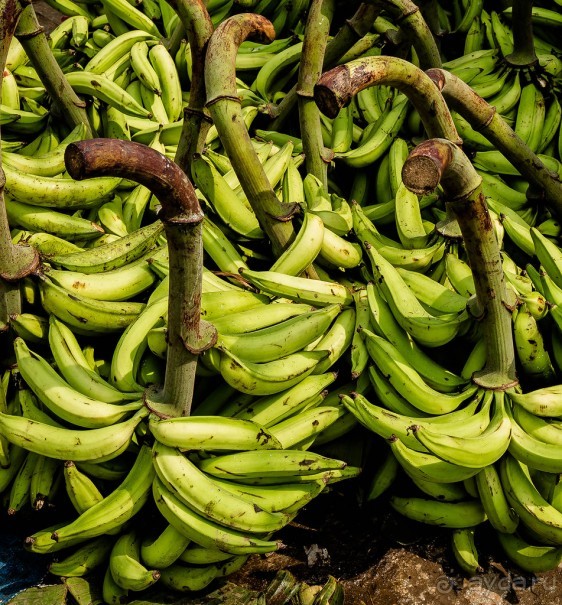 РЫНОК В ДЕРЕВНЕ НА ПЛЯЖЕ ЧЕРАЙ В КЕРАЛА