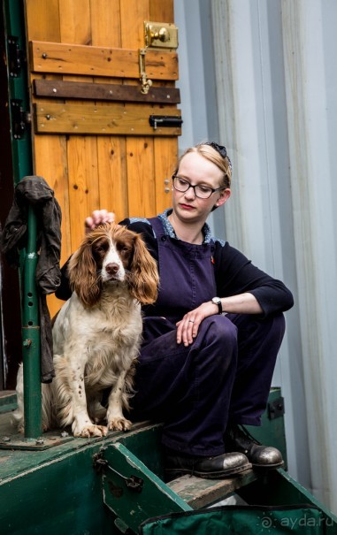 Great Central Railway в июне 2018 2