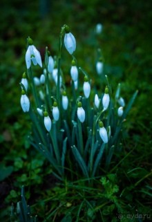 СТЭМФОРД - 92 МИЛИ ОТ ЛОНДОНА ПО ПУТИ В ЭДИНБУРГ