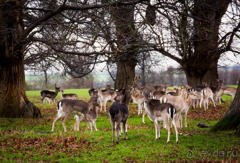 СТЭМФОРД - 92 МИЛИ ОТ ЛОНДОНА ПО ПУТИ В ЭДИНБУРГ