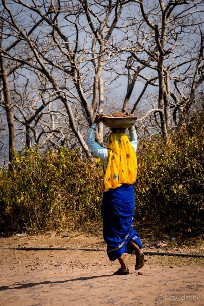 СТАРЫЙ ФОРТ В RANTHAMBORE
