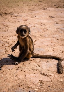 СТАРЫЙ ФОРТ В RANTHAMBORE