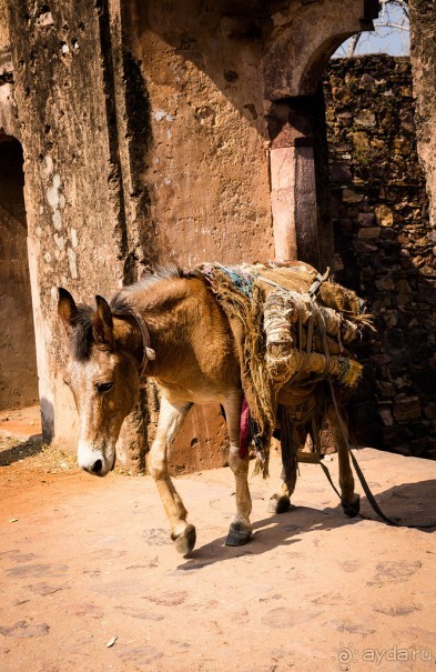 СТАРЫЙ ФОРТ В RANTHAMBORE