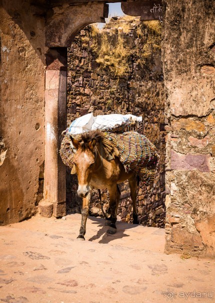 СТАРЫЙ ФОРТ В RANTHAMBORE