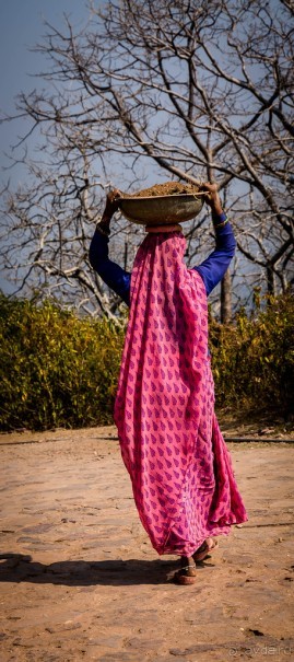 СТАРЫЙ ФОРТ В RANTHAMBORE
