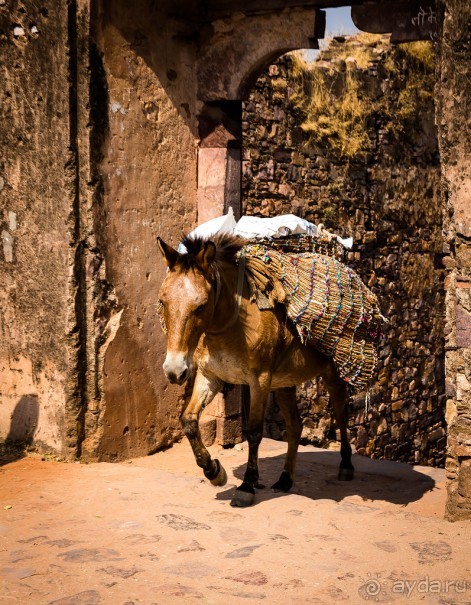 СТАРЫЙ ФОРТ В RANTHAMBORE