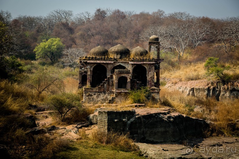 СТАРЫЙ ФОРТ В RANTHAMBORE