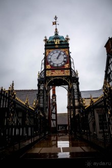 ДОЖДЬ В ЧЕСТЕРЕ - ЗОНТЫ И ВЫВЕСКИ