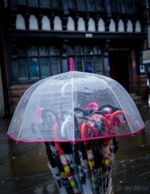 ДОЖДЬ В ЧЕСТЕРЕ - ЗОНТЫ И ВЫВЕСКИ