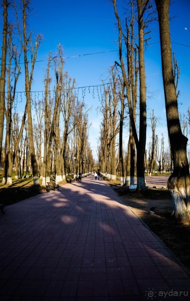 МУЖ В ТВЕРЬ, ЖЕНА В ДВЕРЬ ИЛИ ВАМ В ТВЕРЬ, А НАМ В ДВЕРЬ. РУССКОЕ КЛАДБИЩЕ В АПРЕЛЕ